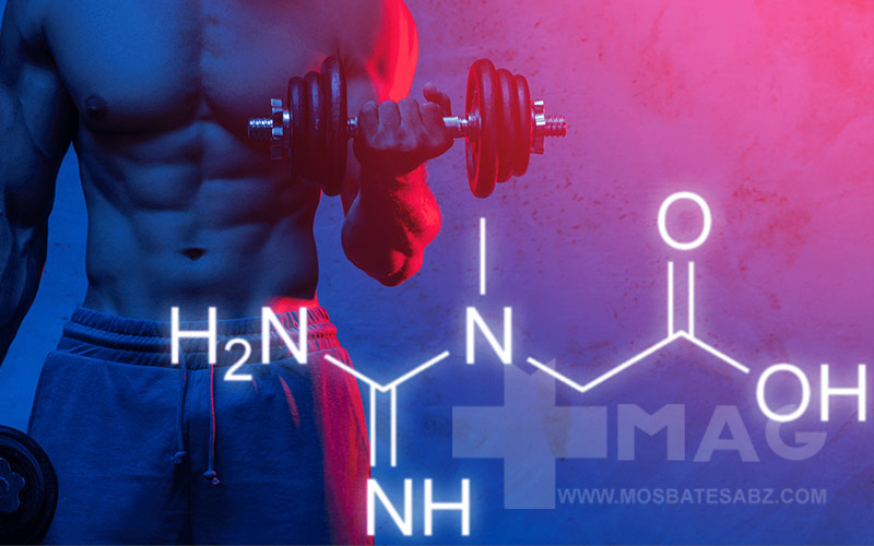 بهترین کراتین برای چربی سوزی و زمان مناسب مصرف کراتین