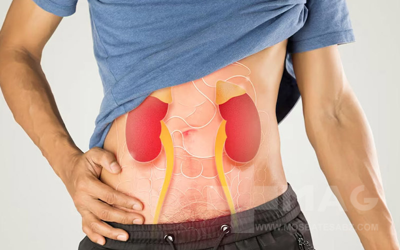 نحوه مصرف کراتین در دوره بارگیری و نگرانیهای مربوط به کلیه