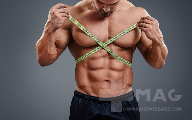 بهترین کراتین برای چربی سوزی و آیا کراتین به کاهش چربی کمک می‌کند؟