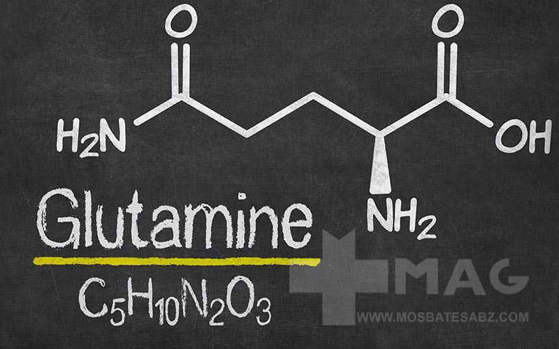 گلوتامین چیست و چرا مصرف می‌شود و عوارض گلوتامین بر کبد