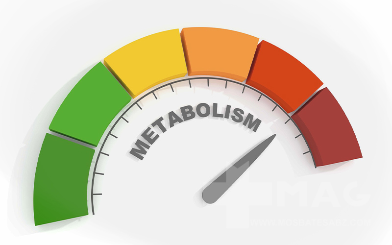 تمرینات اینتروال چیست ، افزایش متابولیسم بدن حتی بعد از تمرین