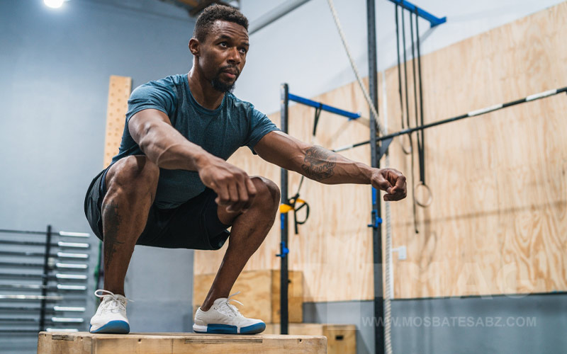 انواع سیستم تمرینی در بدنسازی پلایومتریک