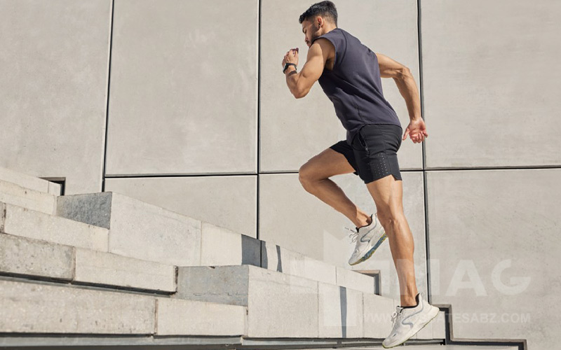 ورزش زون دو چیست