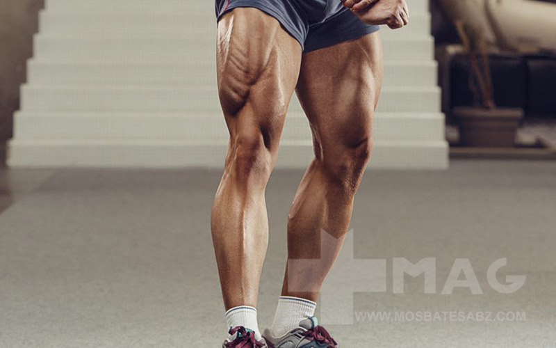 برنامه تمرینی پا برای حجم