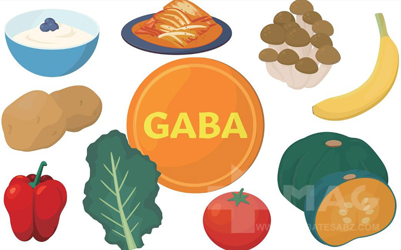 منابع غذایی گابا چیست