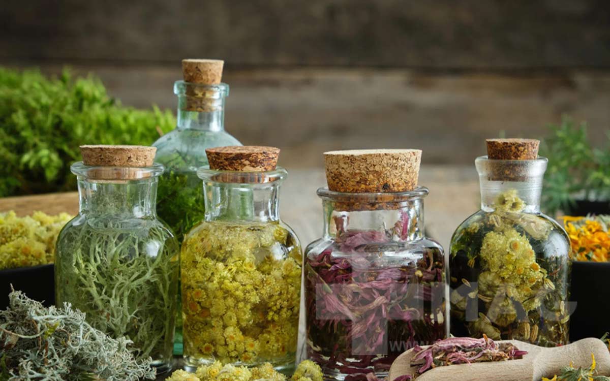 درمان سنتی نفخ شکم با این عرقیجات گیاهی