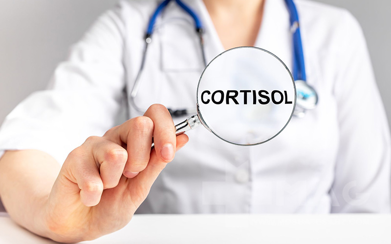 کورتیزول چیست