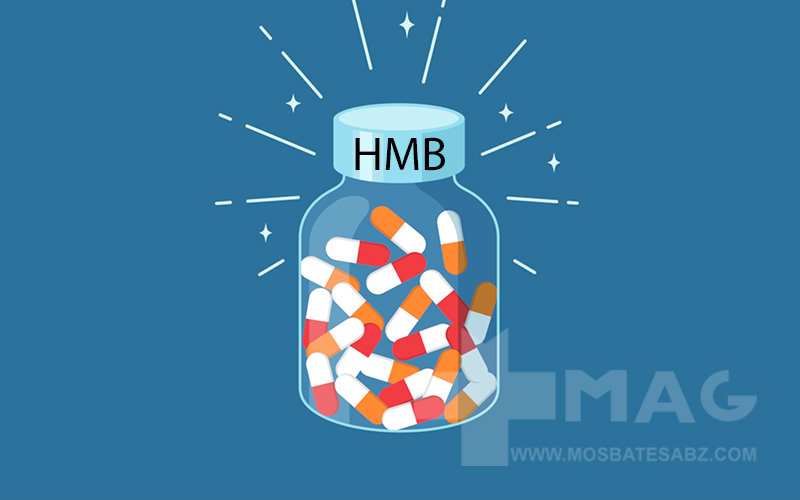 اچ ام بی چیست