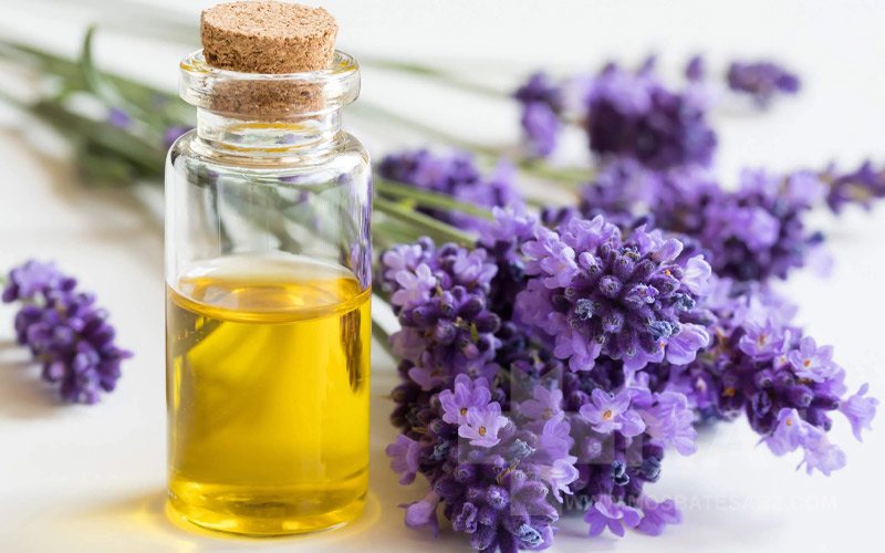 روغن اسطوخودوس