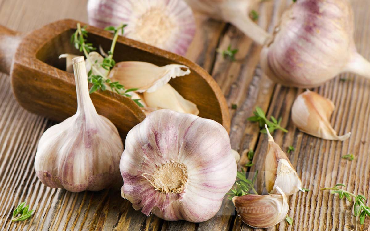 سیر پخته بهتر است یا خام