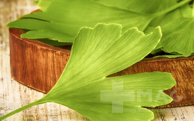 کاهش التهاب با جینکو بیلوبا