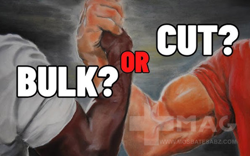 تفاوت کات و حجم و بهترین زمان برای شروع دوره کات یا حجم