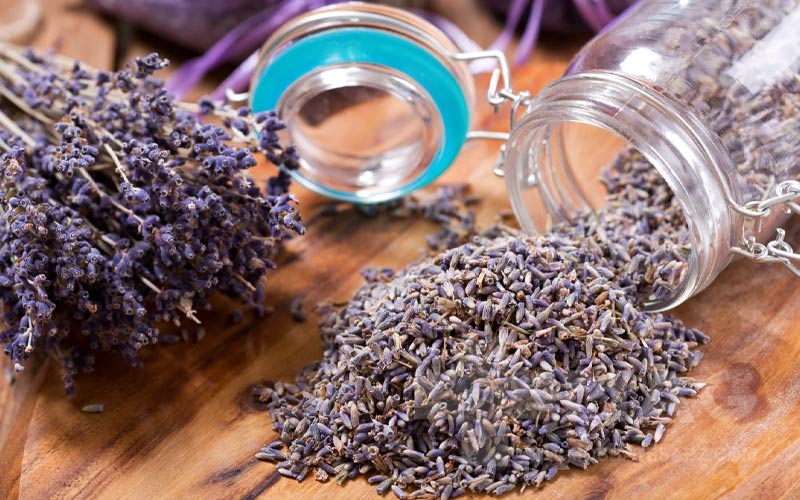 اسطوخودوس خشک