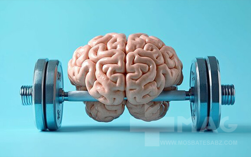 حافظه عضلانی