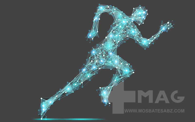 ارتباط ATP با متابولیسم و سوختوساز بدن