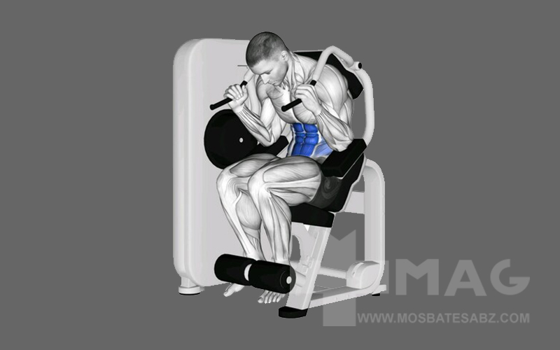 دستگاه شکم یکی از بهترین حرکات شکم بدنسازی برای تقویت شکم