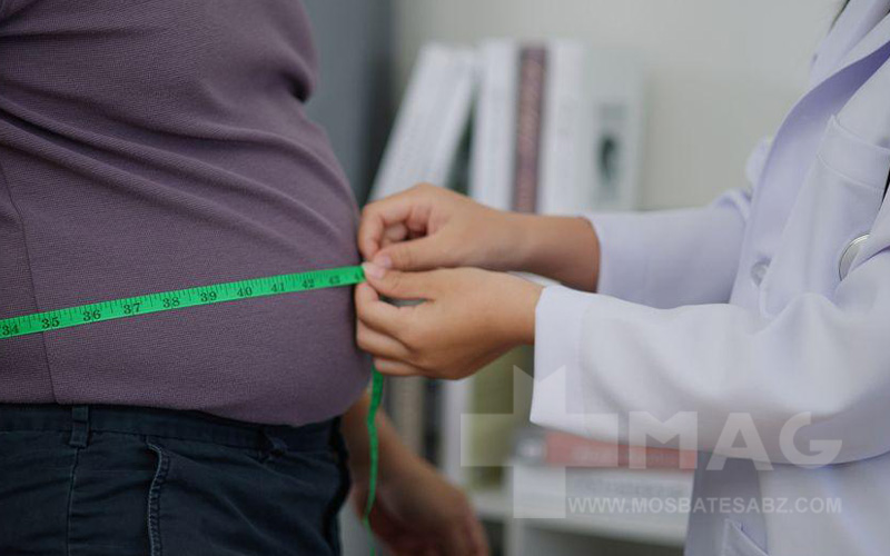 آلفا لیپوئیک اسید و لاغری و ALA چه تاثیری روی لاغری دارد