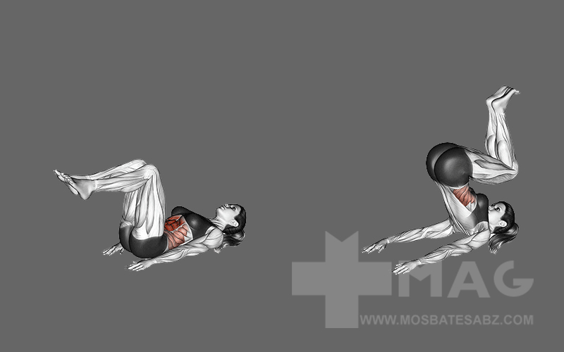 کرانچ معکوس یکی از بهترین حرکات شکم بدنسازی برای تقویت شکم