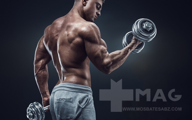 برنامه بدنسازی برای اکتومورف‌ها