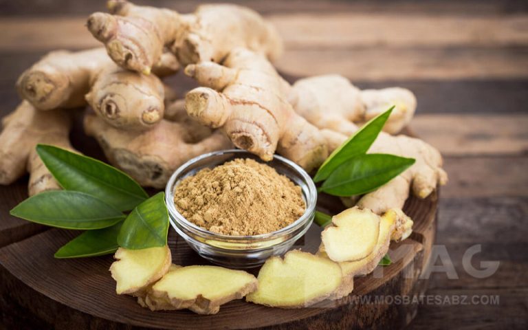 خواص زنجبیل برای رحم و تخمدان