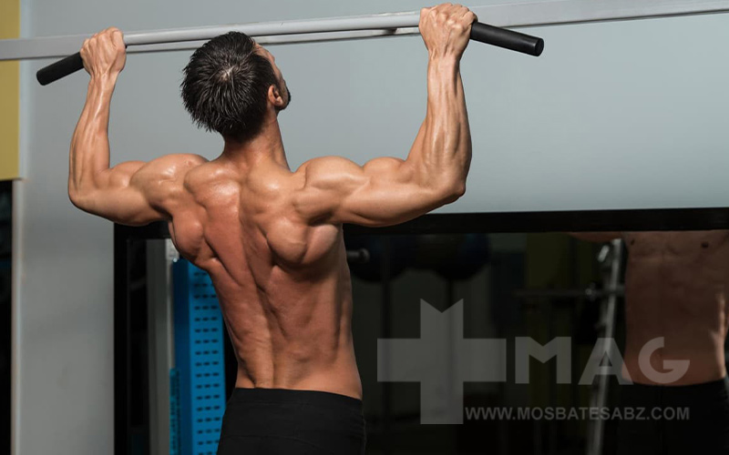 عضلات درگیر در بارفیکس