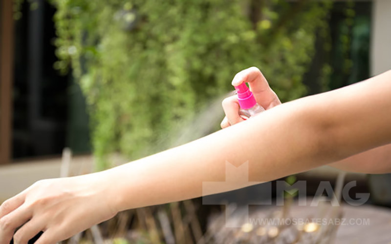 بهترین نقاط بدن برای استفاده از اسپ