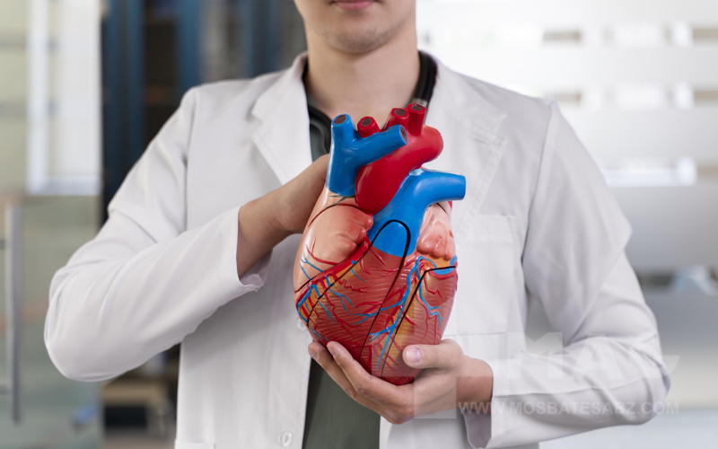 حمایت از سلامت قلب