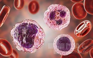 Neu در آزمایش خون چیست