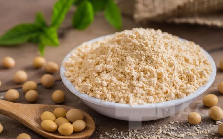 سویا برای بدنسازی