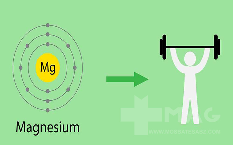 بهترین زمان مصرف منیزیم برای ورزشکاران