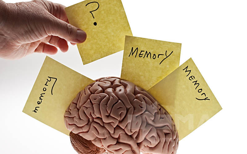 تقویت حافظه دانش آموزان و یادگیری سریع آنها