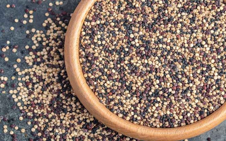 انواع کینوا