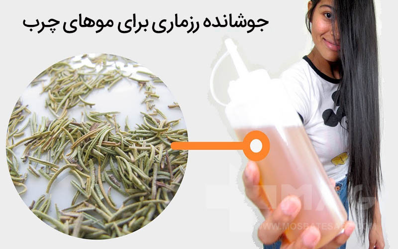 جوشانده رزماری برای موی چرب
