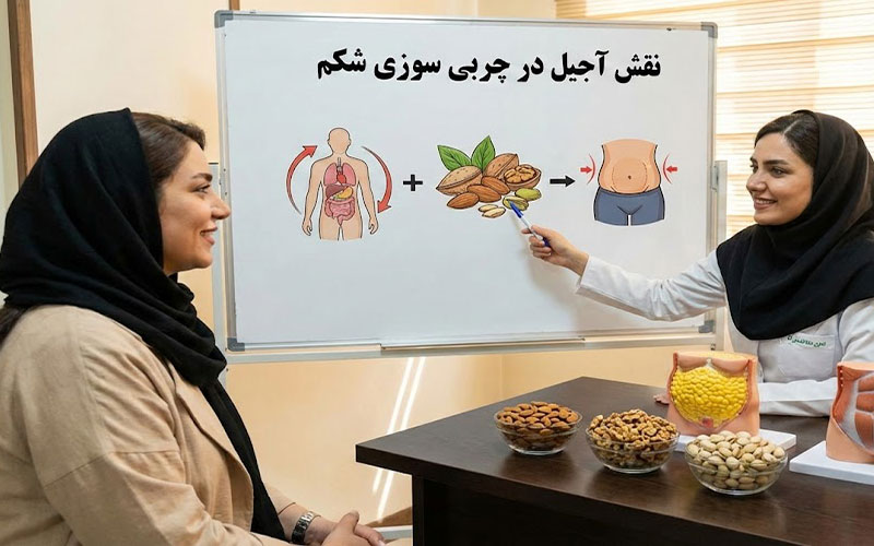 آجیل مخصوص چربی سوزی شکم