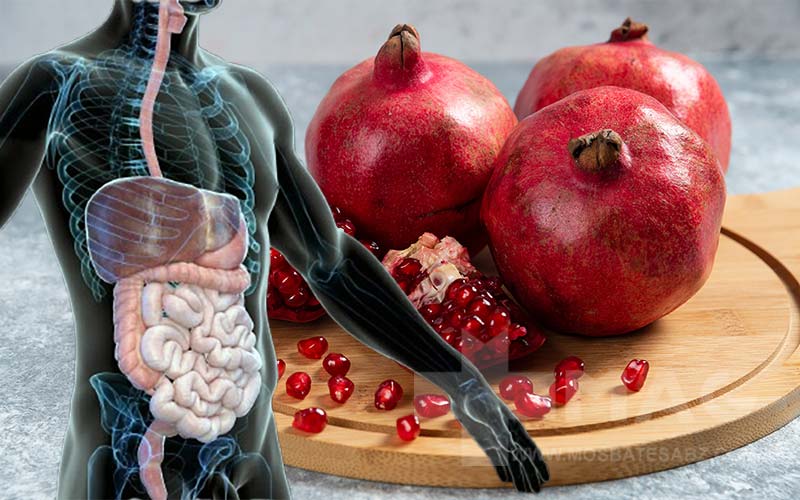 انار برای معده و روده