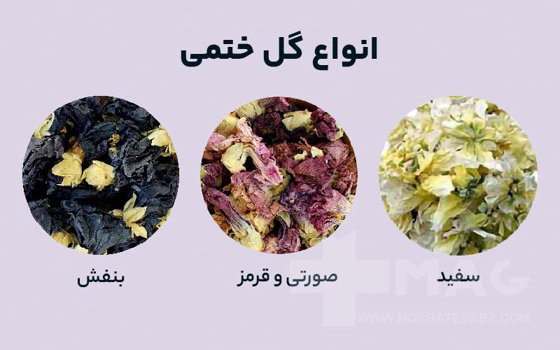انواع گل ختمی