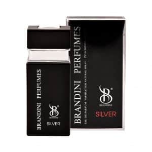عطر جیبی مردانه Silver برندینی