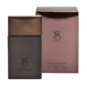 عطر جیبی مردانه برندینی مدل Noir Anthracit