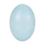 قیمت کرم مرطوب کننده دست و صورت پوست نرمال تا خشک هندولوژی